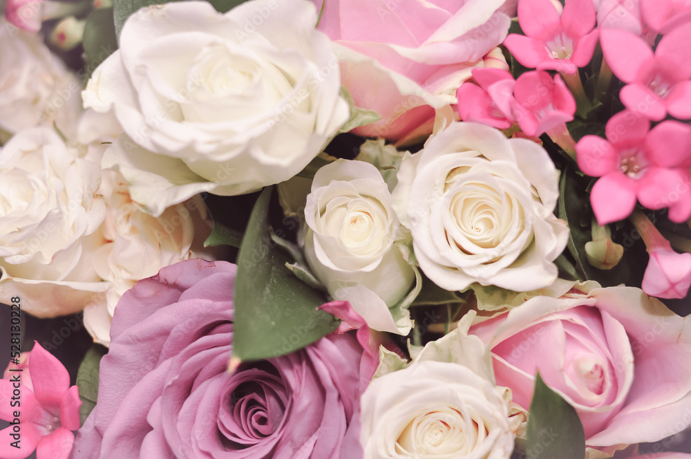 Close up of fresh pink,white and violet roses bouquet, gift for women Close up of fresh pink,white and violet roses bouquet, gift for women