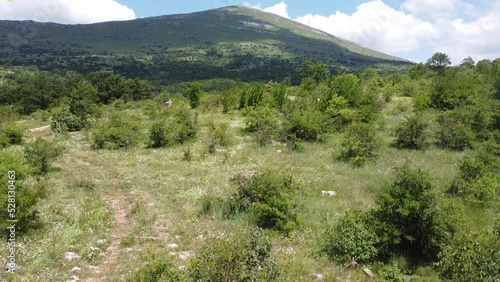 Aerial view of high mountains with white clouds and green forest, where flower lovers pick medicinal herbs and walk in the clean air.