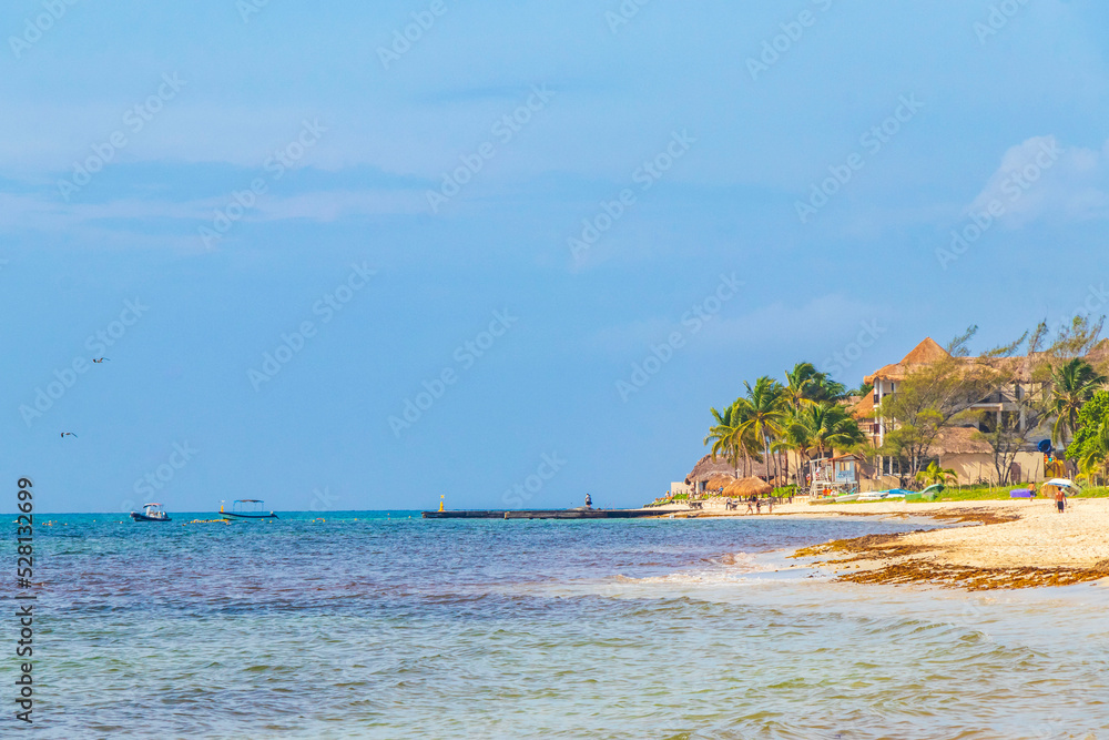 Tropical mexican beach clear turquoise water Playa del Carmen Mexico.