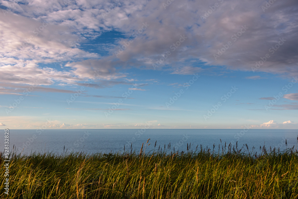 Field grass in the foreground in the evening sunbeams against the sea under a blue sky with clouds in the light shades of the coming sunset.