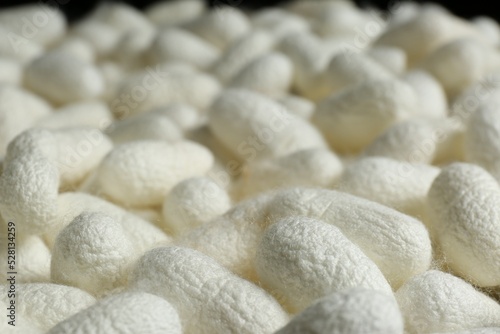 Heap of white silk cocoons  closeup view
