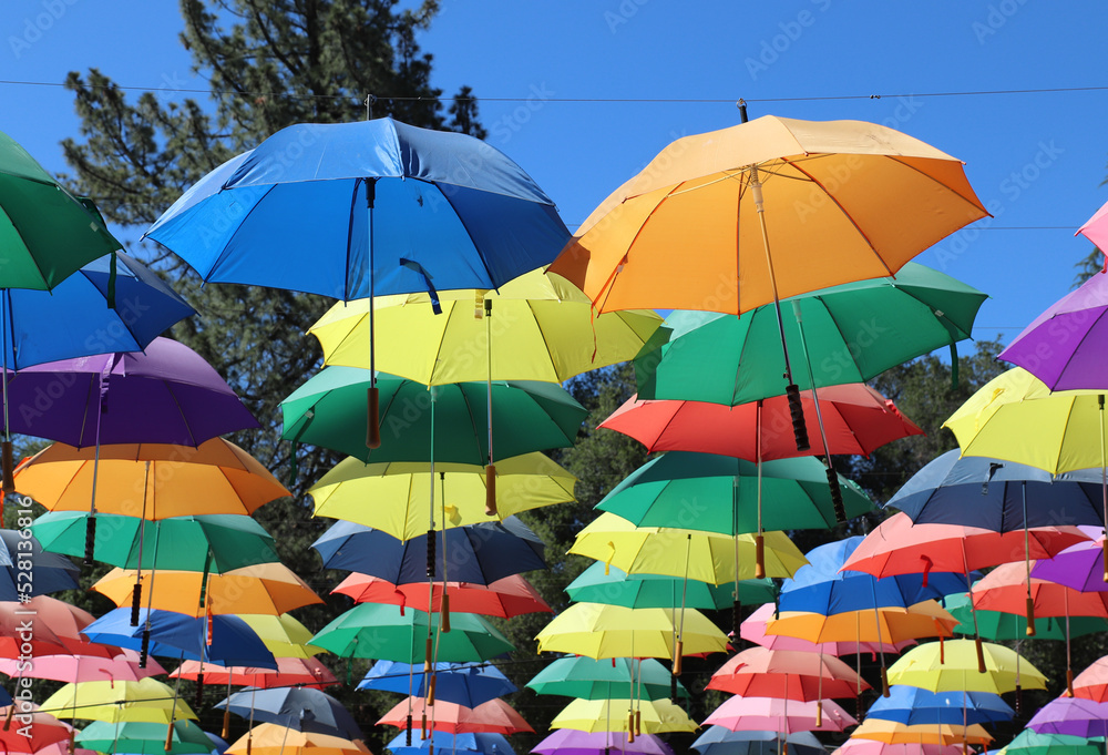 Obraz premium Colorful sunlit umbrellas at Lavender Festival, Cherry Valley, CA