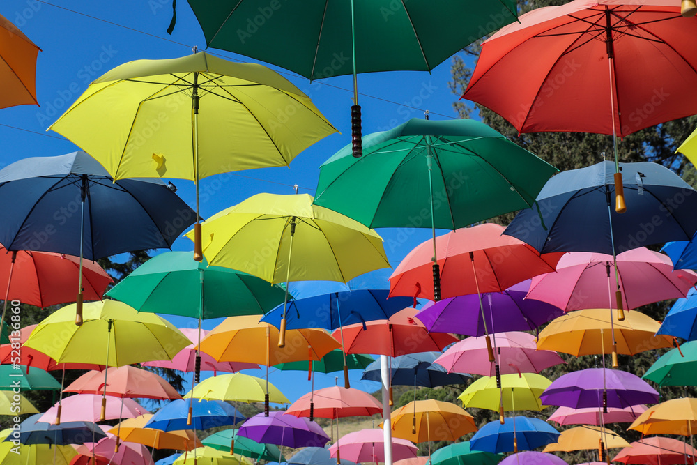 Obraz premium Colorful sunlit umbrellas at Lavender Festival, Cherry Valley, CA