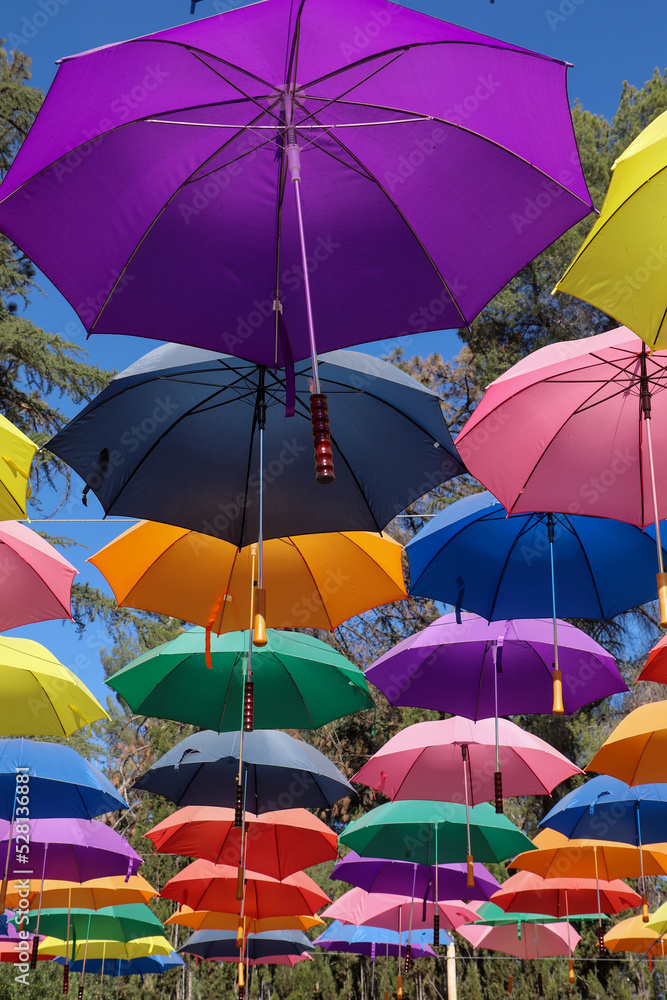 Colorful sunlit umbrellas at Lavender Festival, Cherry Valley, CA