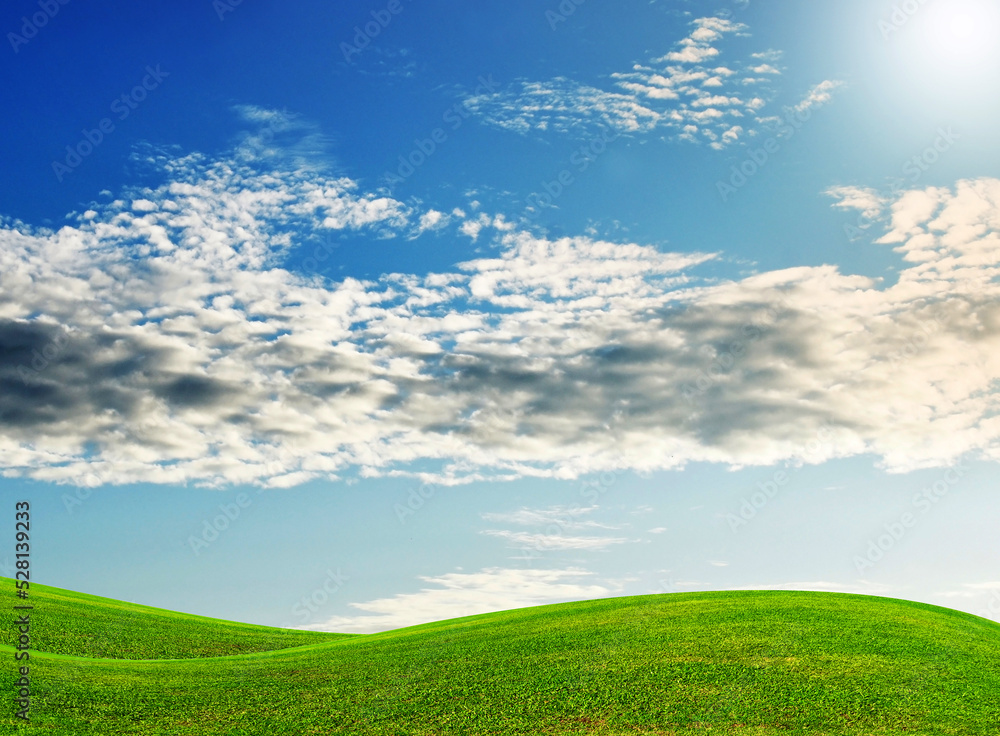 green field and blue sky with clouds green field and blue sky with clouds