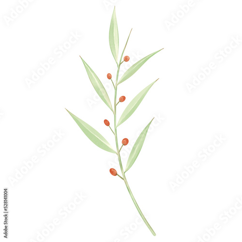 leaves isolated on white background Watercolor floral illustration leaves and branches wreath.