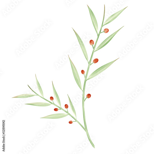 Watercolor leaves and branches lovely design elements. red and green leaves