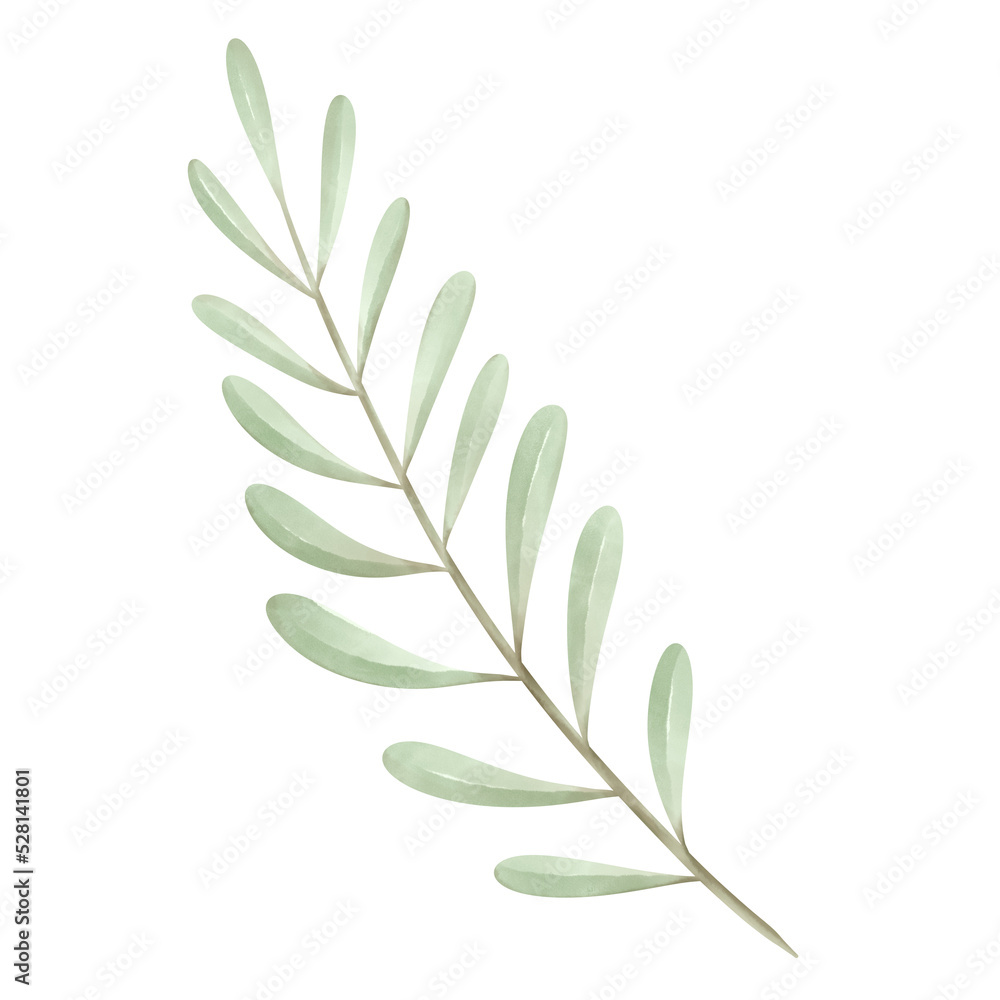 branch of a plant Watercolor leaves and branches lovely design elements. branch of a plant Watercolor leaves and branches lovely design elements.