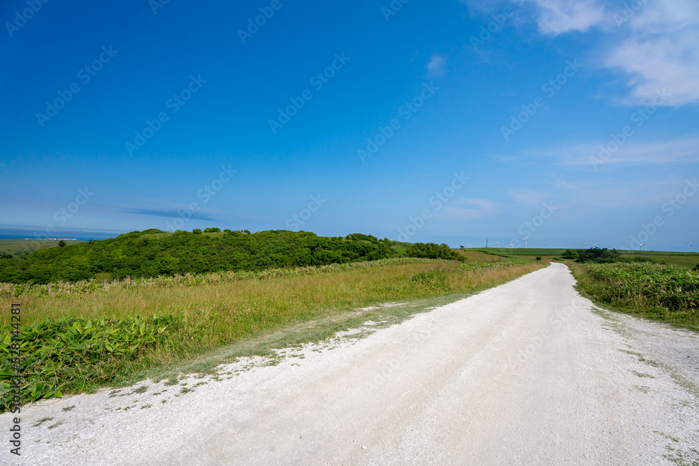 北海道 白い道