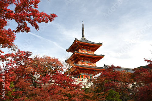 秋の京都　清水寺の紅葉の風景