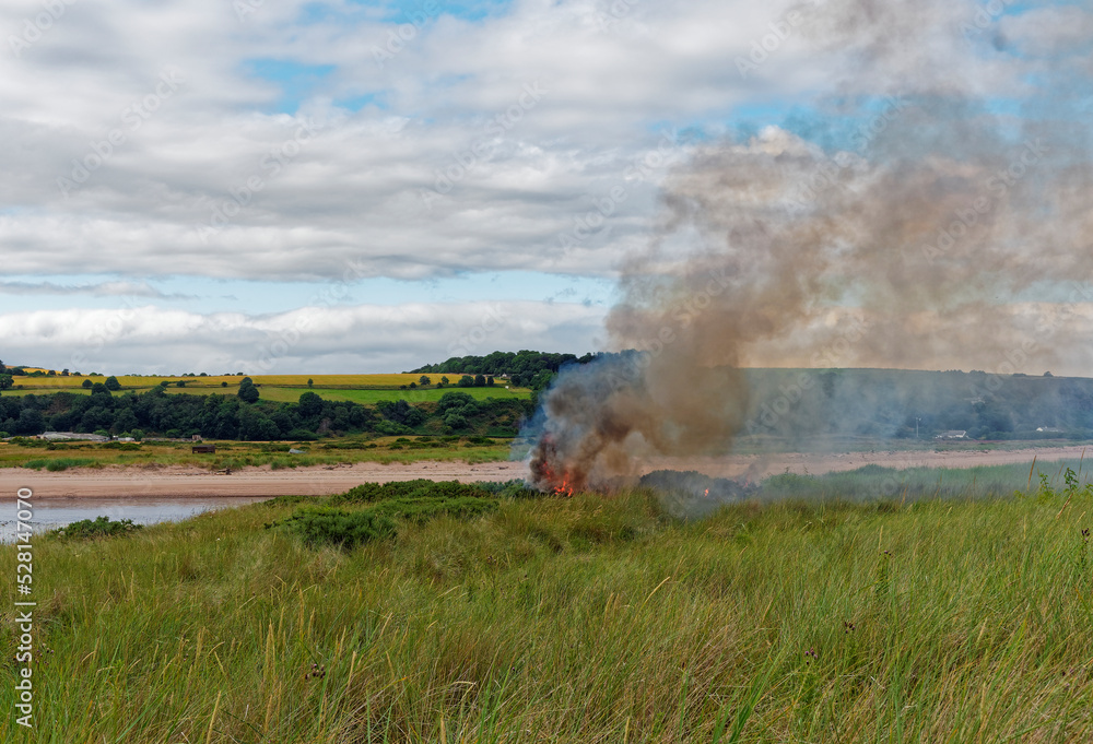 Flames and smoke from a Wildfire in the Gorse and Grasses behind the Dunes of Montrose Beach, with the River North Esk in the background. Flames and smoke from a Wildfire in the Gorse and Grasses behind the Dunes of Montrose Beach, with the River North Esk in the background.