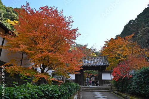 秋の京都 南禅寺の紅葉の風景