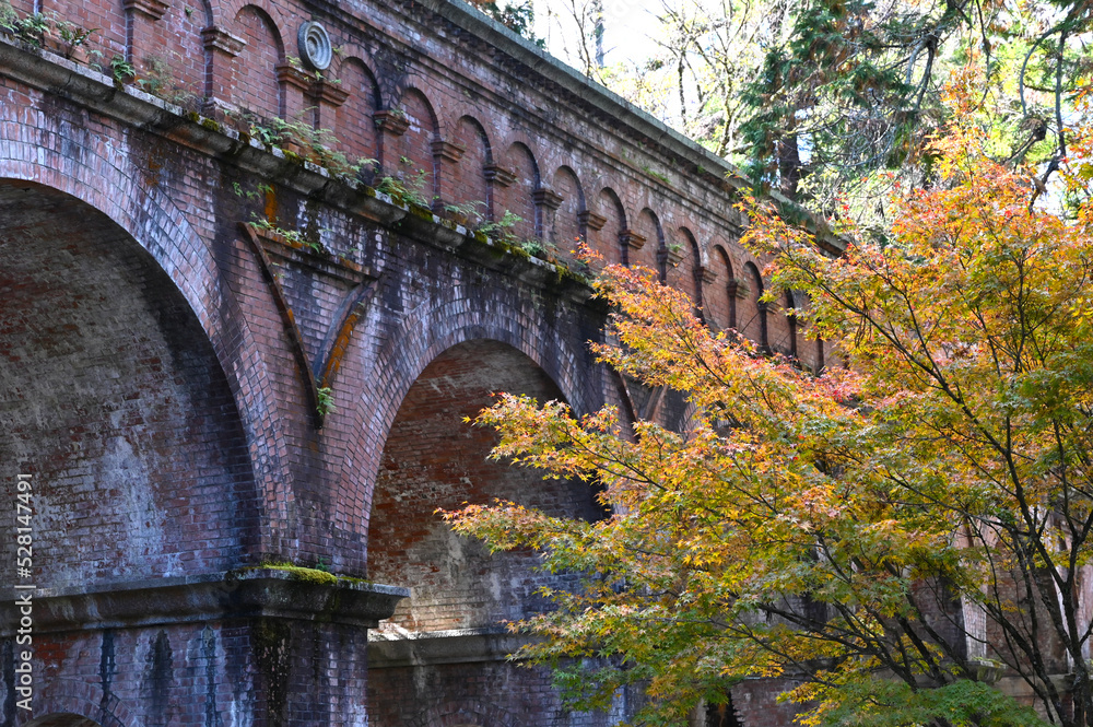 秋の京都　南禅寺の水道橋の紅葉