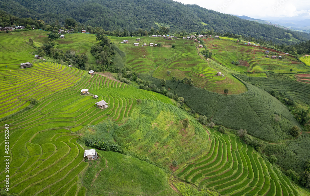 Paddy rice fields in shape of layer at Papongpaing, Chaingmai, Thailand. local organic natural travel.