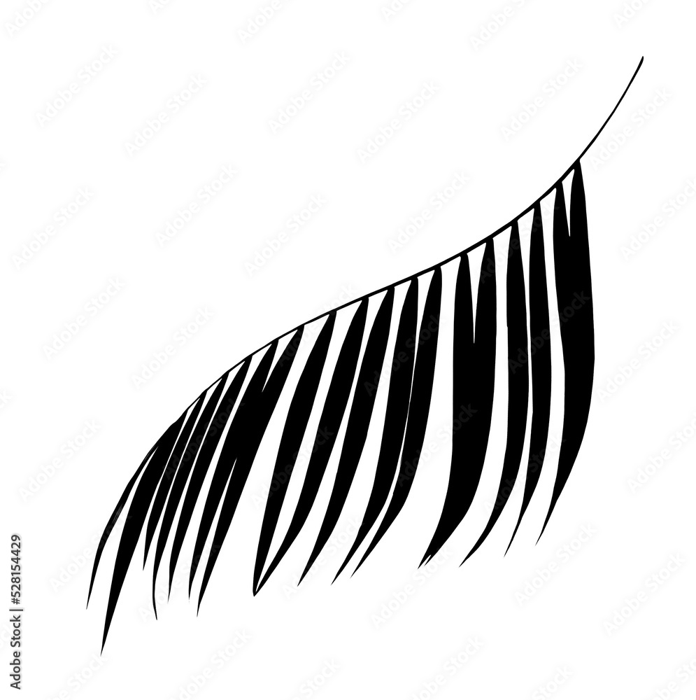 Black leaf of palm tree on transparent background png file Stock Photo ...