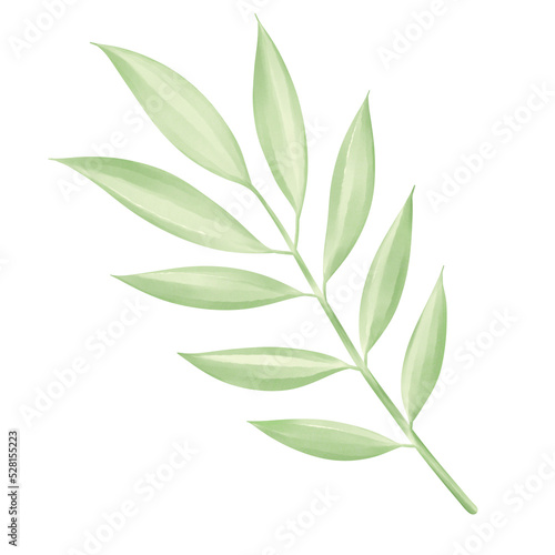 green leaves isolated on white