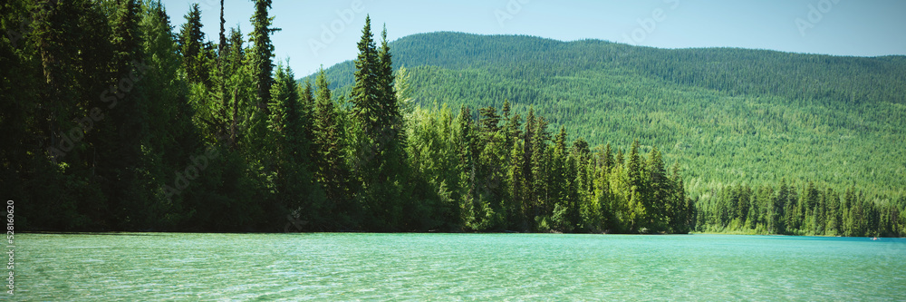 Fototapeta premium Lake and forest