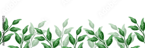 Green watercolor leaves illustration