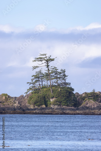 Rugged Rocks on a rocky shore on the West Coast of Pacific Ocean. Summer Morning Sky. Ucluelet, Vancouver Island, British Columbia, Canada. Nature Background