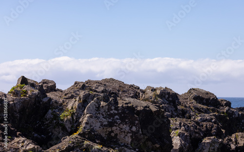 Rugged Rocks on a rocky shore on the West Coast of Pacific Ocean. Summer Morning Sky. Ucluelet, Vancouver Island, British Columbia, Canada. Nature Background