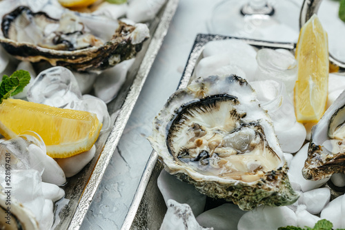 Opened Oysters with champagne in restaurant. Fresh Oysters with lime, lemon and ice. banner, menu, recipe place for text, top view