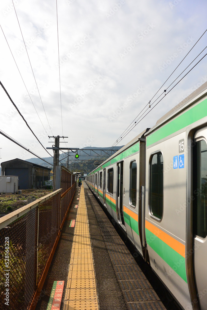 Fototapeta premium 駅に停車する電車と山