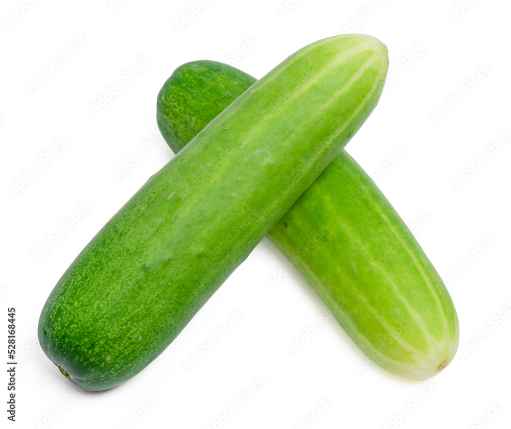 Fresh cucumber vegetable isolated on white background Fresh cucumber vegetable isolated on white background