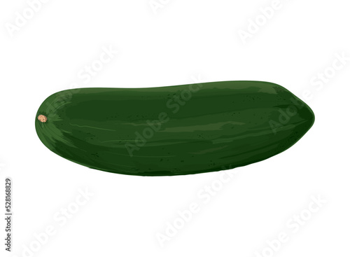 cucumber vegetable icon