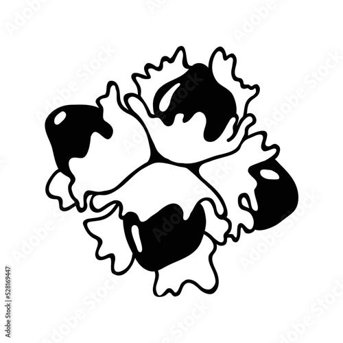 A healthy, nutritious vegetarian snack. Hazelnut bunch silhouette. Additive element for packaged chocolate. Illustration in the style of contour graphics in doodle style. Organic food.