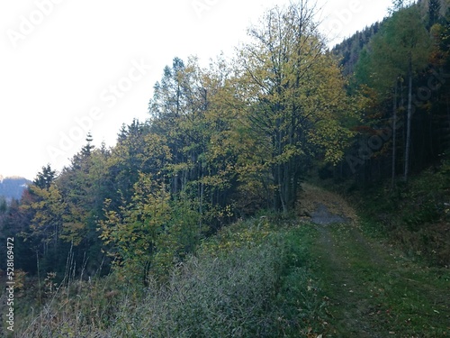 W drodze na Schneeberg.
