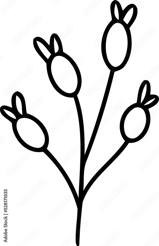 botanical line art botanical line art