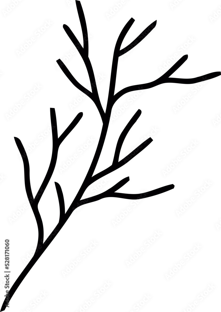 Fototapeta premium botanical line art