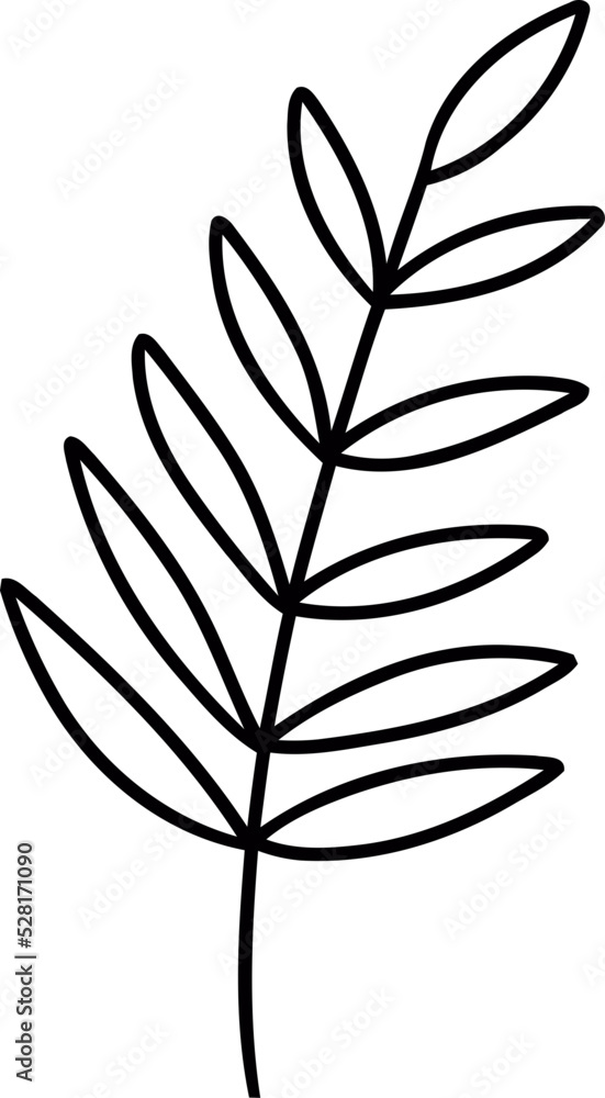 botanical wildflower line art botanical wildflower line art