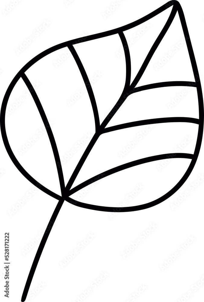 botanical wildflower line art botanical wildflower line art