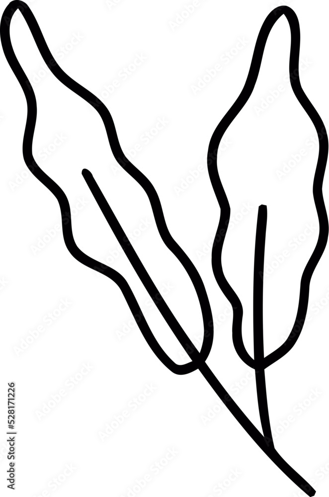 botanical wildflower line art botanical wildflower line art