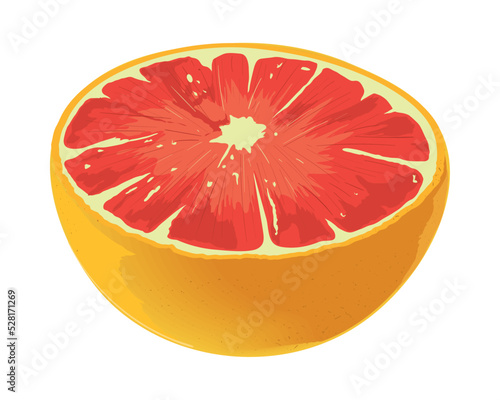 tangelo fruit realistic