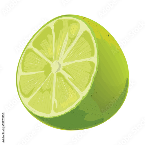 slice lemon fruit realistic
