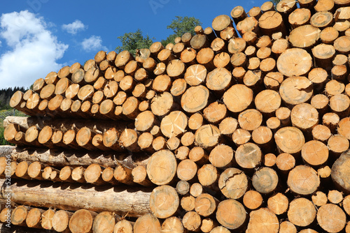 stack of logs sawn by lumberjacks Ready to be processed in the industrial sawmill
