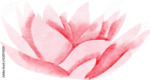 pink lotus flower, watercolor illustration, hand drawing, floral wedding © mariyana_117