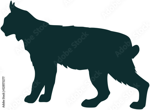 Papier peint silhouette of a bobcat