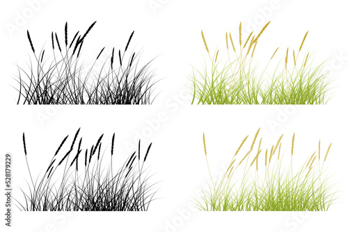 prairie grass. short grass