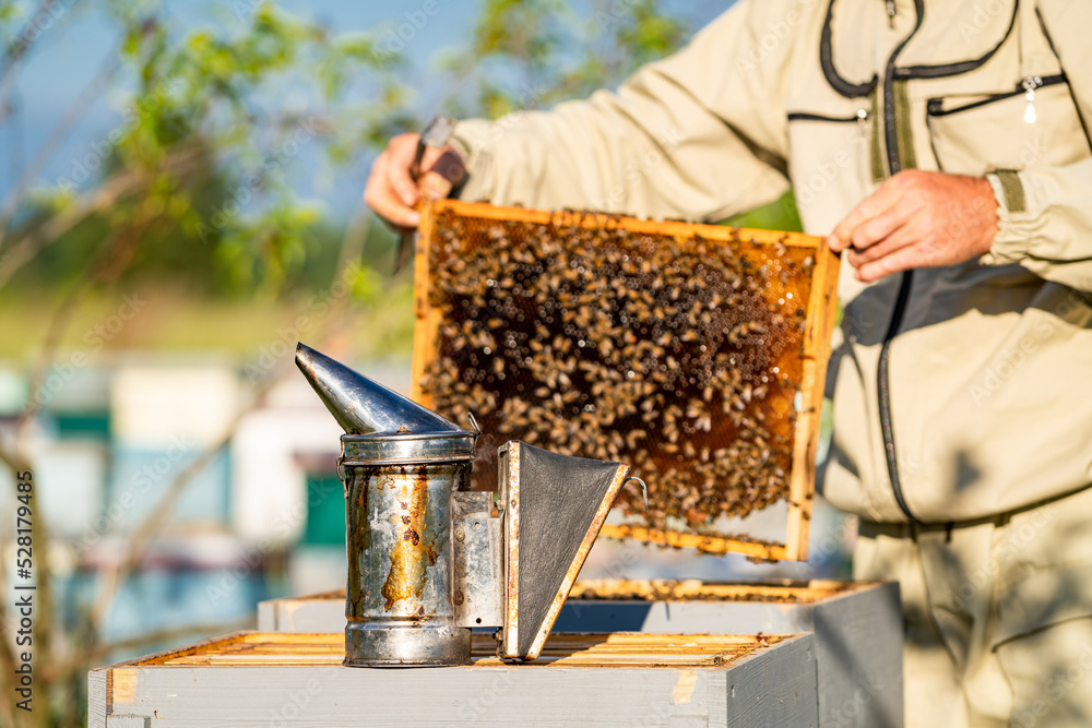 Beekeeper holding frame with honey. Wooden frame of beehive in hands. Beekeeper holding frame with honey. Wooden frame of beehive in hands.