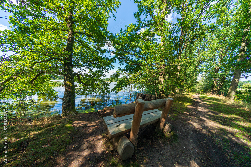 Oberlausitzer Heide