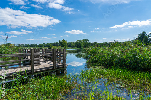 Oberlausitzer Heide