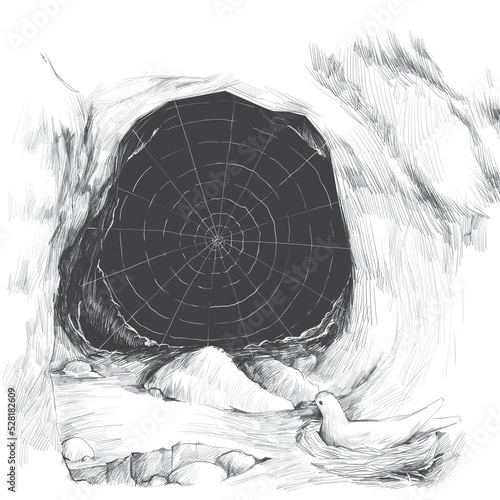 Charcoal drawing of a pigeon in front of a spider web covered cave entrance. Cave Hira and the pigeon standing and the spider photo