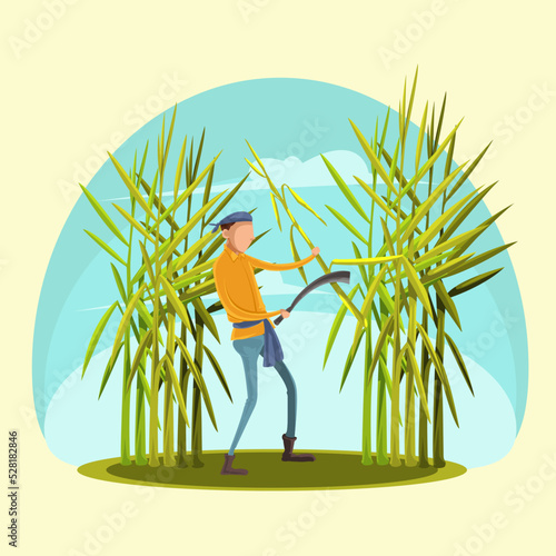 Sugarcane cutting