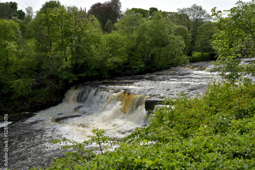 Aysgarth Upper Falls in Wensleydale  Yorkshire Dales