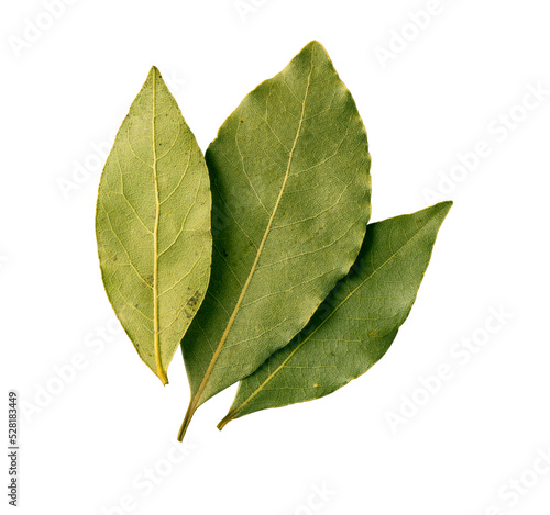 Tablou canvas bay leaf on transporent background,