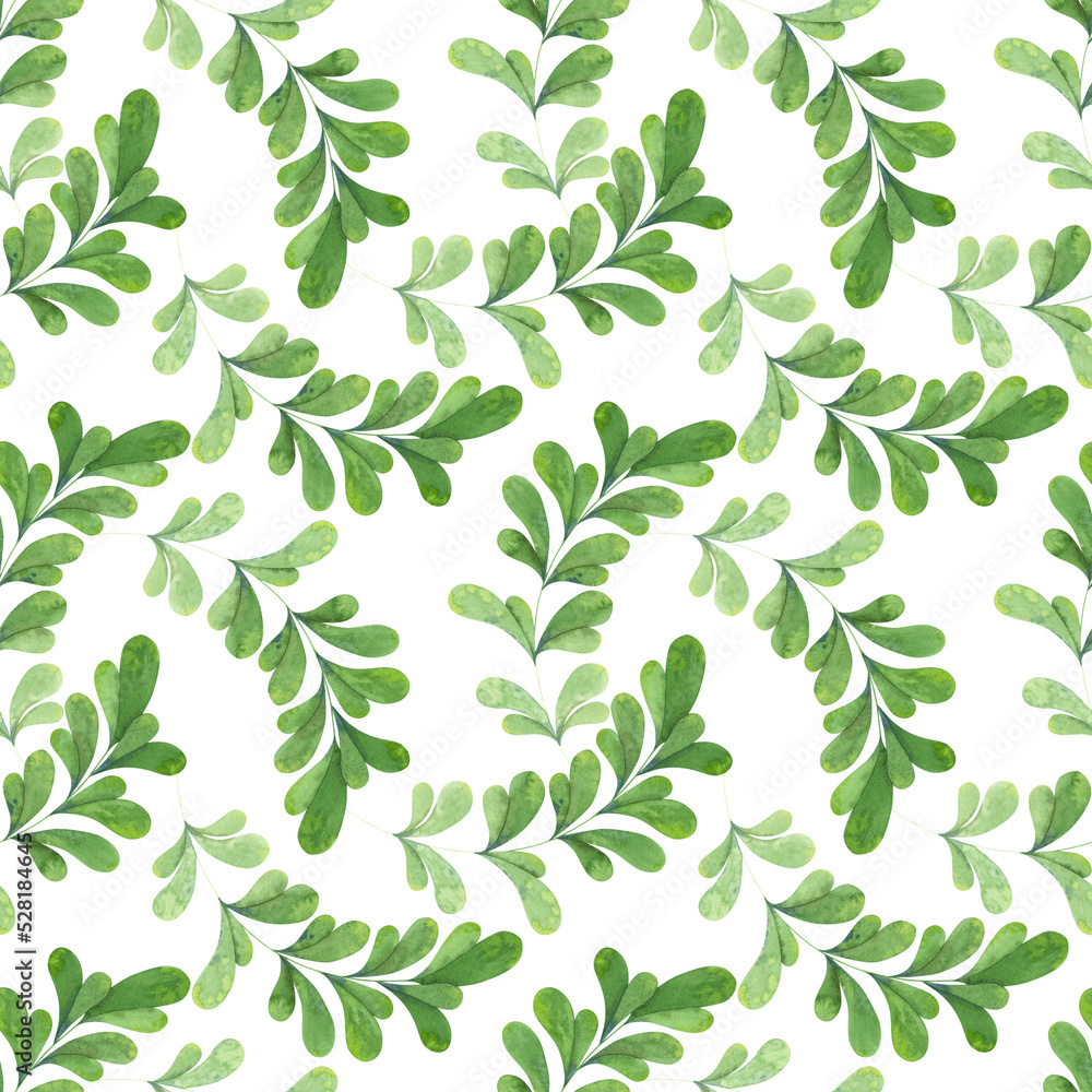 Seamless wild grass pattern. Green lingonberry leaves. Delicate pattern on white background. Seamless wild grass pattern. Green lingonberry leaves. Delicate pattern on white background.