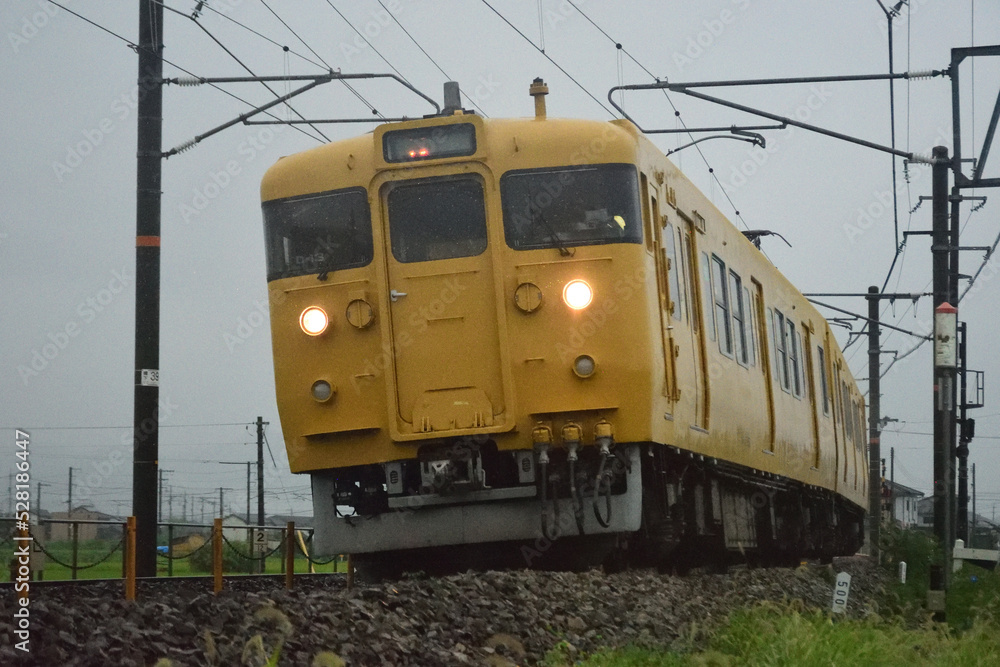 Obraz premium 115系普通列車